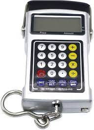 Balanza Electrónica ZzzaNa 50 kg / 20 g